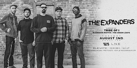 Fan Appreciation with The Expanders at Elevate (FREE SHOW) primary image