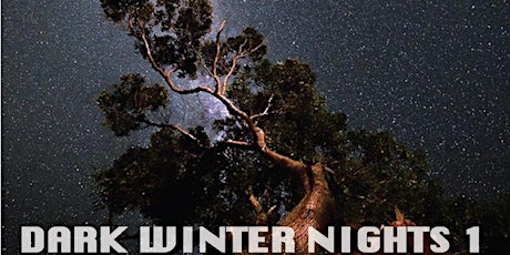 Dark Winter Nights 1 with POW! NEGRO primary image