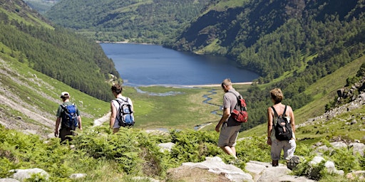 Walk The Scalp in Glendalough, Co. Wicklow, with Follow the Camino