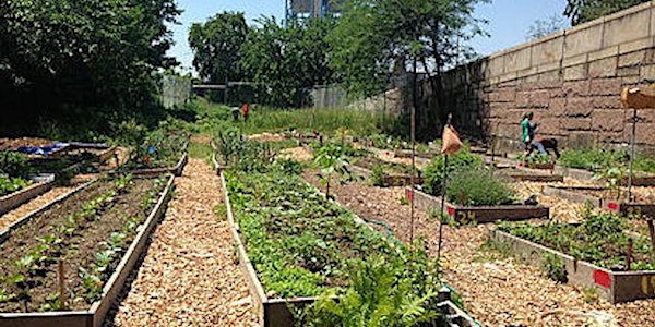 Communities in Action: South Bronx Learning Tour