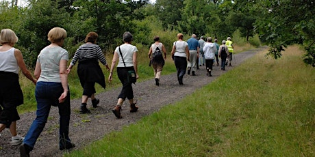 Mental Illness Awareness Walk primary image