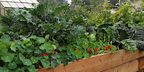 Beyond Kale- Let's Get Edible Gardening