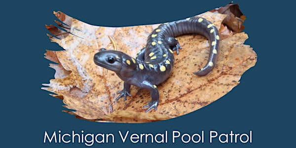 Michigan Vernal Pool Patrol Virtual Training Series 2022