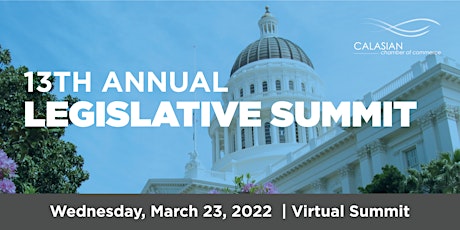 13th Annual Legislative Summit primary image