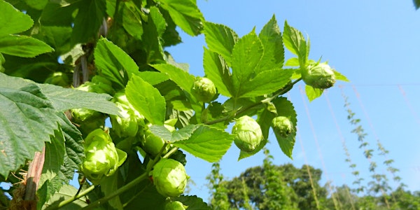 2017 South Atlantic Hops Conference