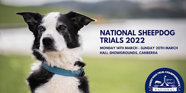 National Sheepdog Trial Championships