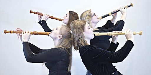 Palisander Recorder Quartet: Double, Double Toil & Trouble! (ONLINE) primary image