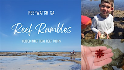 Reef Rambles - Hallett Cove - afternoon session