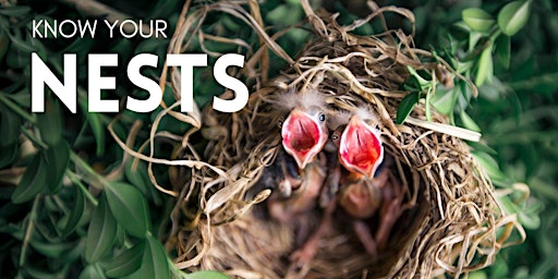 Primaire afbeelding van Know Your Nests!
