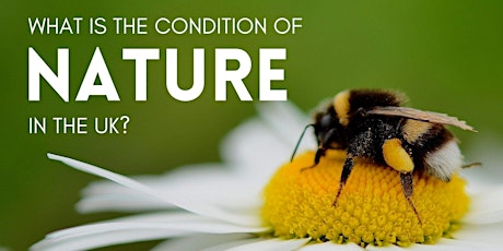 What is the Condition of Nature in the UK?