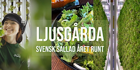 Ljusgårda - Svensk sallad året runt.  primärbild