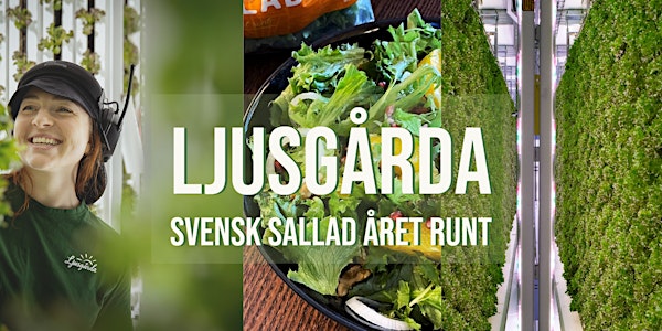 Ljusgårda - Svensk sallad året runt.