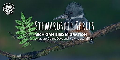 Michigan Bird Migration - A Webinar primary image