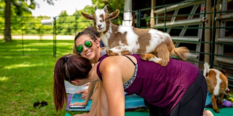 Goat Yoga Texas -  Sat, Feb 26 @ 10am