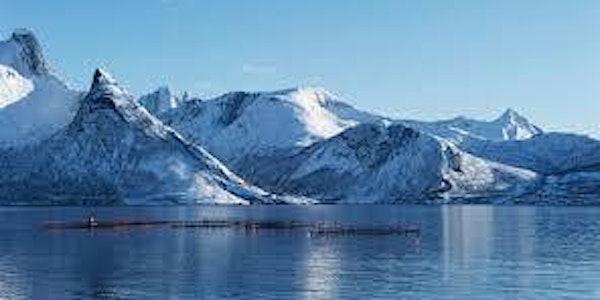 Mardis de la Mer et la Norvège