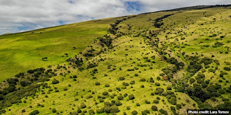 Hoa‘āina Stewardship Day: Koai‘a Corridor primary image