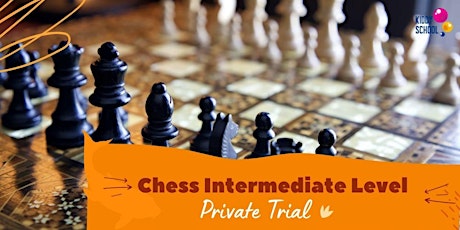 Chess Intermediate Level - Private Trial