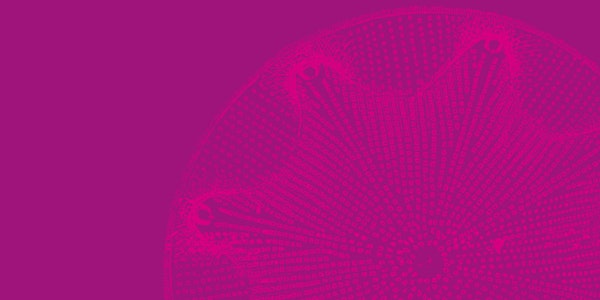 Life as a Superorganism with Jon Turney