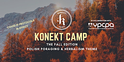 Konekt Camp: Polish Herbalism & Mushroom Foraging Theme