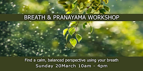 BREATH AND PRANAYAMA WORKSHOP -Find a calm, balanced perspective