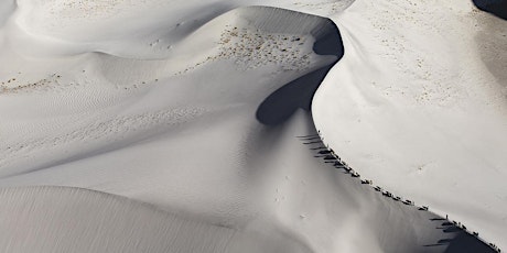 Immagine principale di HUMAN di Yann Arthus-Bertrand 