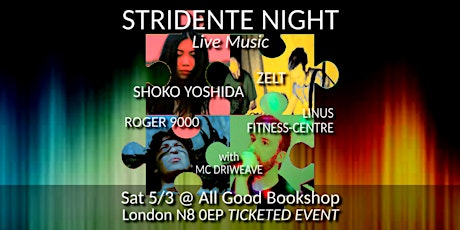 Stridente Night #8: Shoko Yoshida / Zelt / Roger9000 / Linus Fitness-Centre primary image