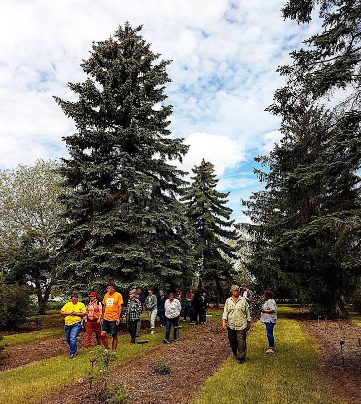 Canadensis Presents: A Virtual Visit to Patterson Garden Arboretum image