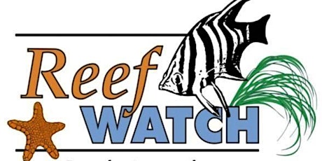 Reef Watch Intertidal  Volunteer Monitoring