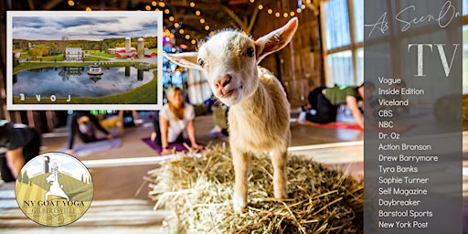 GOAT YOGA ALL-INCLUSIVE RETREAT - 2 Nights - August 2022