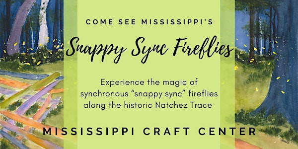 2022 Snappy Sync Soiree and Firefly Tours