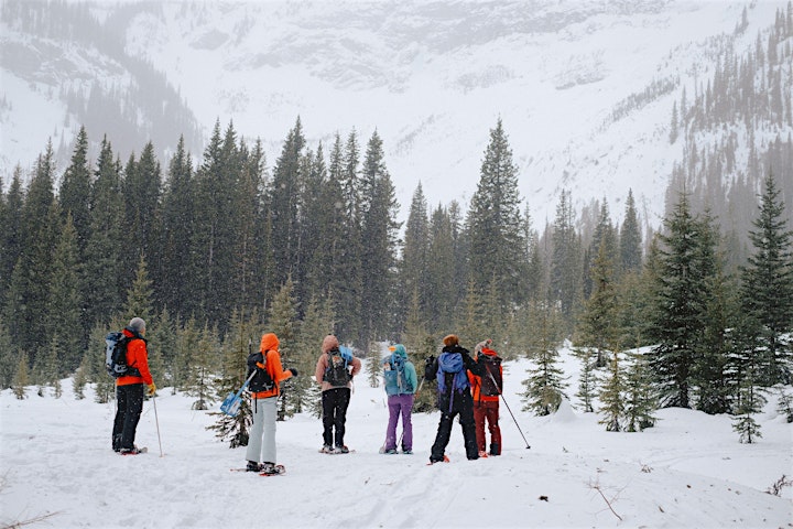 Learn to Snowshoe - February 27 image