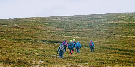 Galtees - Guided Hike  primärbild