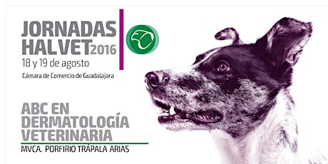 Imagen principal de Jornadas Halvet 2016: ABC de dermatología veterinaria