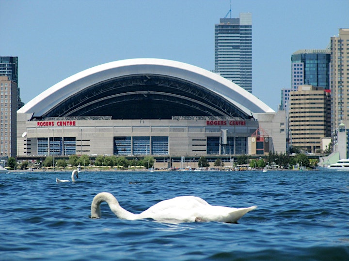 Discover Toronto's Waterfront: a Smartphone Audio Walking Tour image