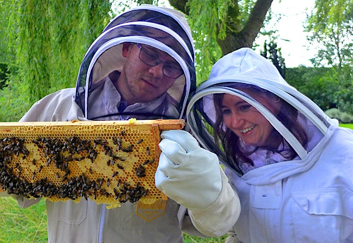 Beekeeping for Beginners image