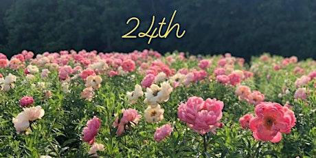 STYER'S FESTIVAL of the PEONY, Chadds Ford Pa tickets