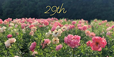 STYER'S FESTIVAL of the PEONY, Chadds Ford Pa tickets