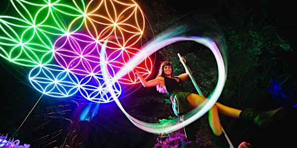 Enchanted Forest Gathering 2016: Music & Art Camping Experience