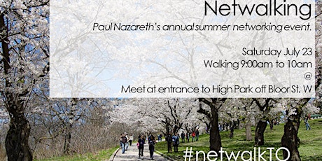 Summer 2016 Netwalk in High Park primary image