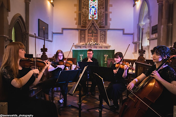 Lasham Classical Music Festival 2022: Festival Players image