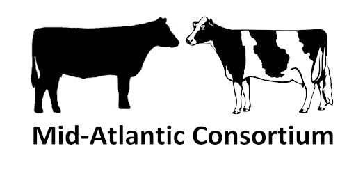 24th Annual Mid-Atlantic Consortium Extension In-Service