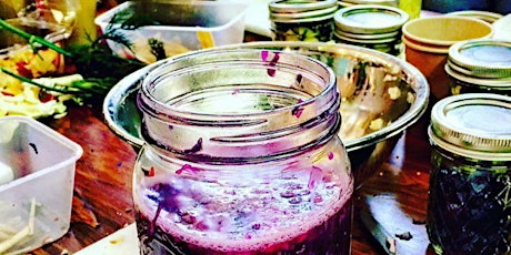 Fermented Foods Class, Gut Feeling! (Limited spots!) primary image