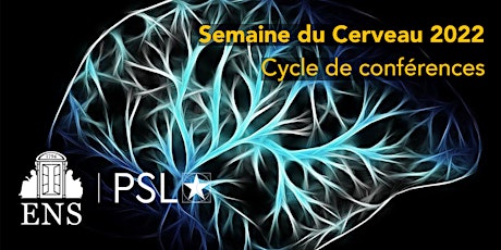 Imagem principal do evento Semaine du Cerveau - Cycle de conférences à l'ENS
