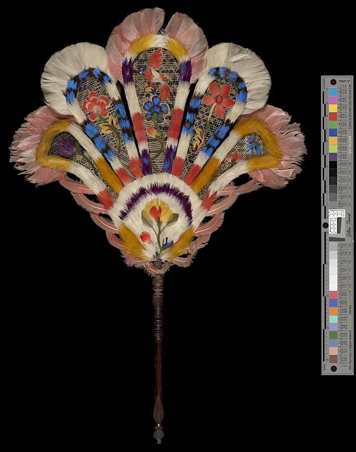 Imaging and Imagining Early Modern Feather Fans image