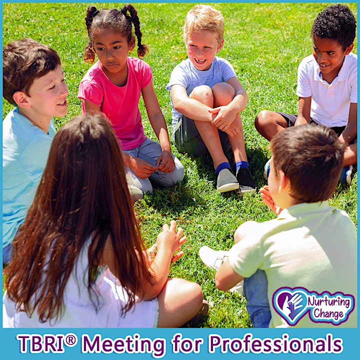 TBRI Meeting for Professionals image