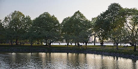 Guided Tree Tours on the Esplanade tickets