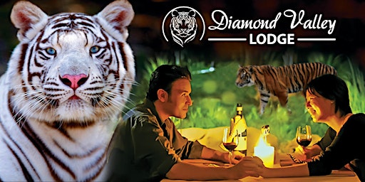 Image principale de Dinner with Tigers - Evening Under the Stars!