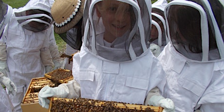The Bees Knees: 1-Day Youth Beekeeping Academy primary image