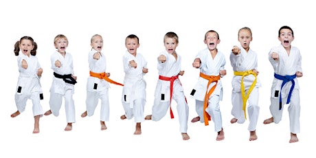Miramar Free Karate primary image
