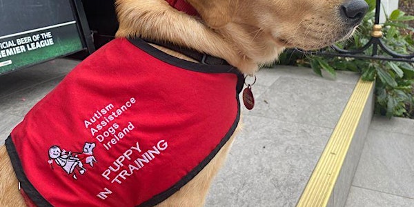 Meet Autism Assistance Dogs Ireland